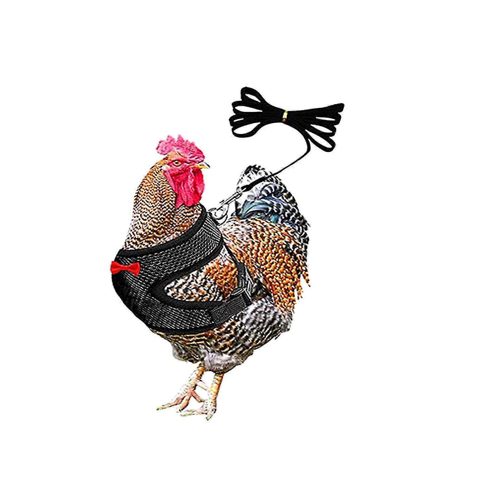 Adjustable Chicken Rope With Leash Elastic Comfortable Breathable Pet Rope