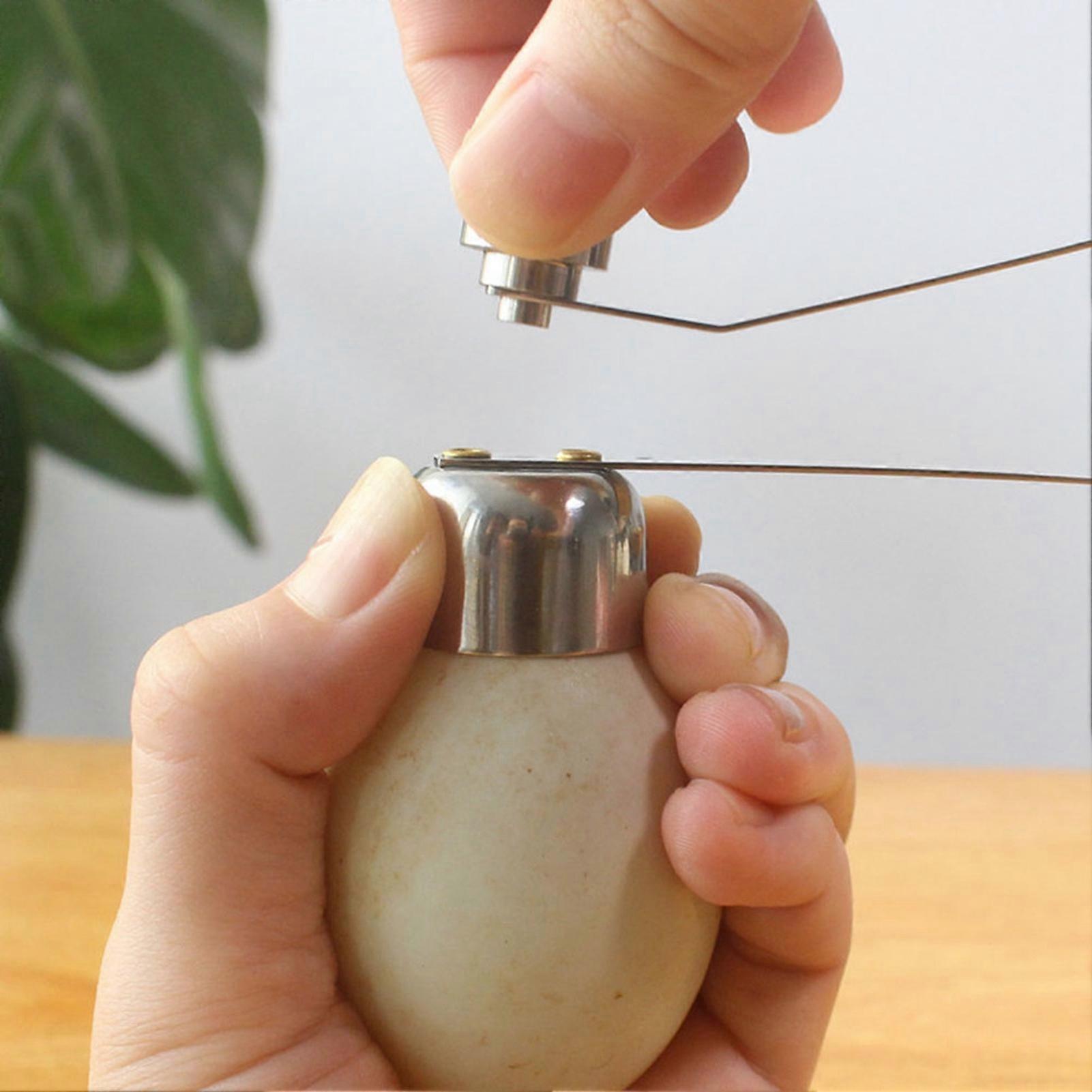 Effective Stainless Steel Eggshell Cutter Remover Opener Cracker Breaker Kitchen Helper L