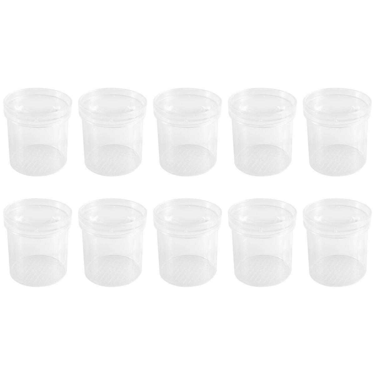 Insect Observation Cup Insect Magnifying Glass Insect Feeding Box Teaching Instrument Natural Observation Tube