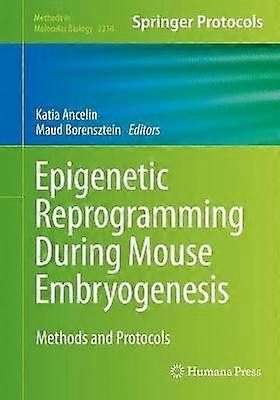 Epigenetic Reprogramming During Mouse Embryogenesis