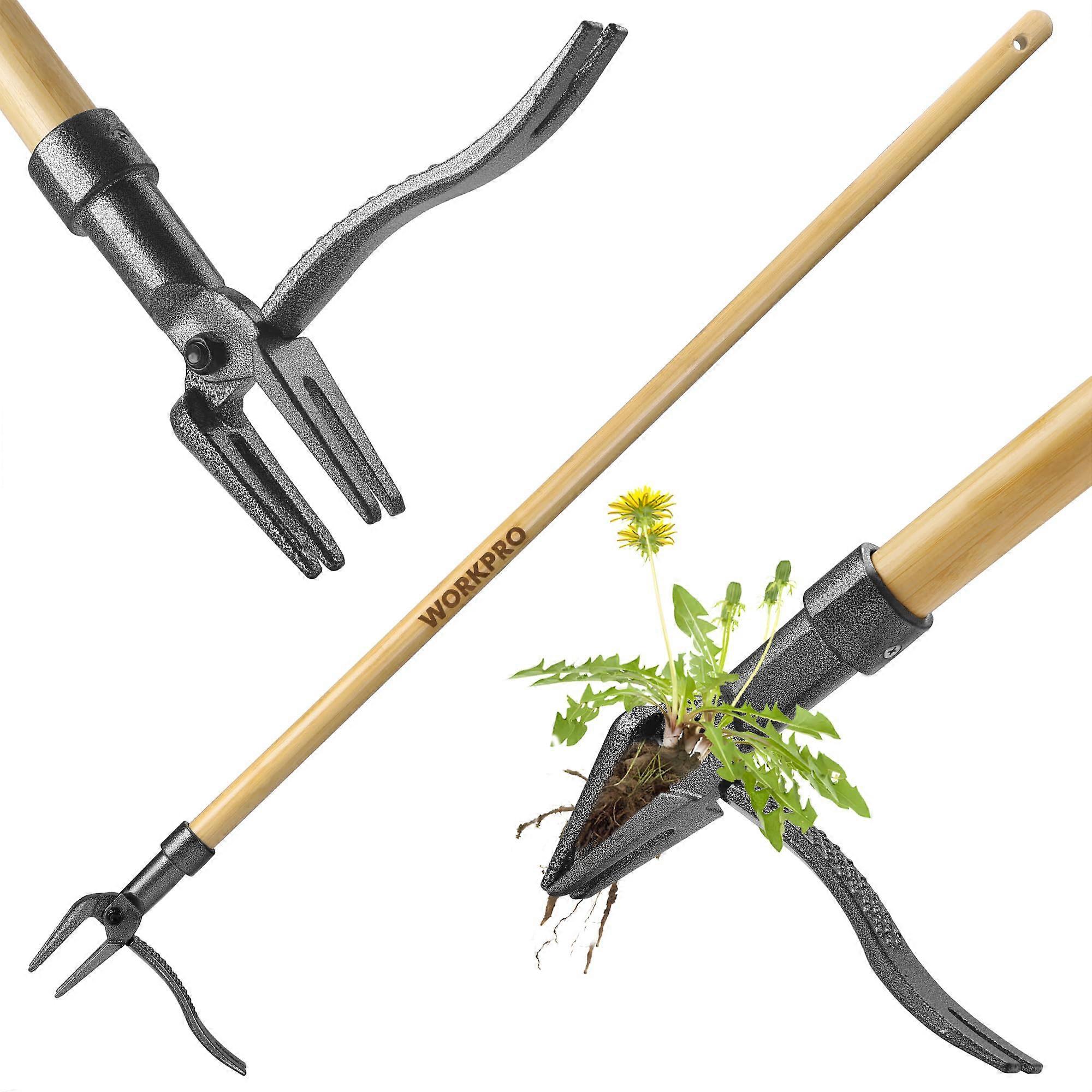 Weed Puller Tool with 44' Bamboo Handle, HeavyDuty 4Claw Cast Iron Head, StandUp Weeder