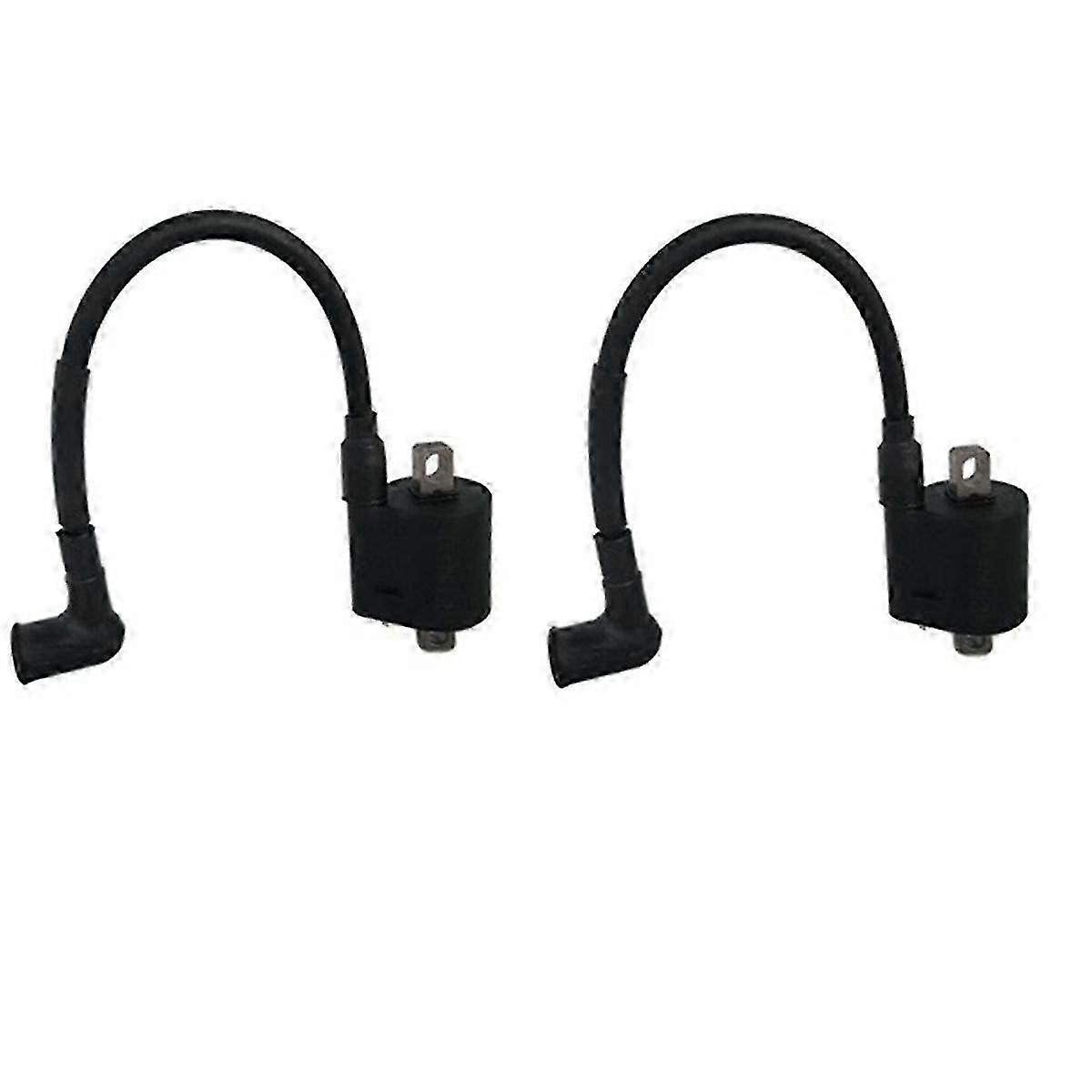 2 Bobines d’allumage 16064A1 pour moteurs hors-bord 2 temps Mercury 4Hp et 5Hp