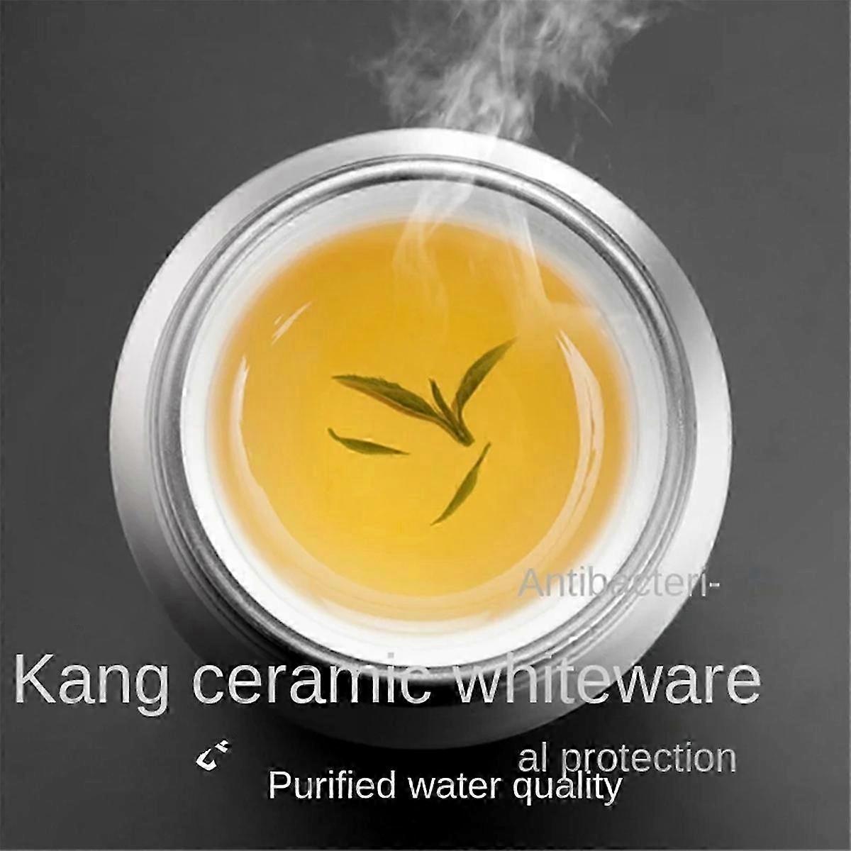 Stainless Steel Vacuum Flask with LED Temp Display, 450ml Insulated Tea Infuser Bottle for Travel