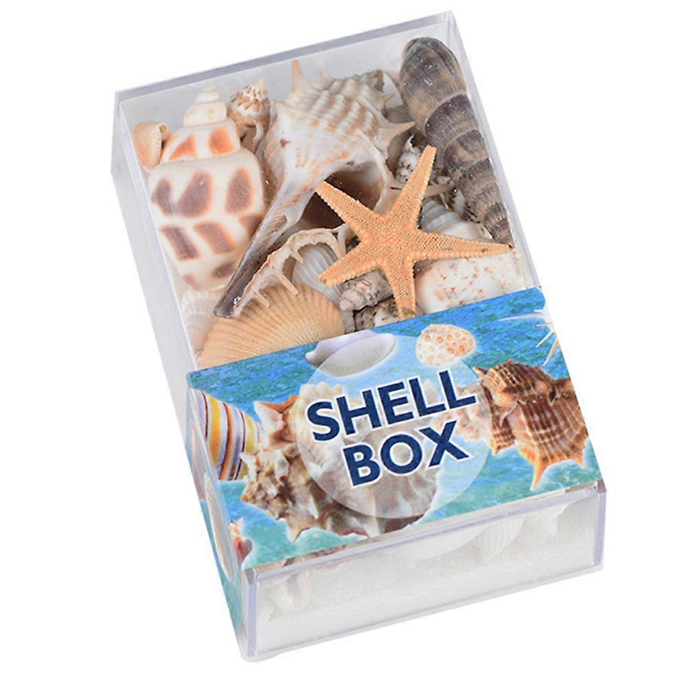 Shell for Decoration Natural Large Conch Ornaments 2 Boxes