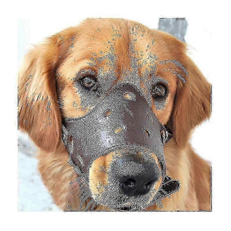 Dog Leather Anti Bark Muzzle For Large Medium Small Dogs L