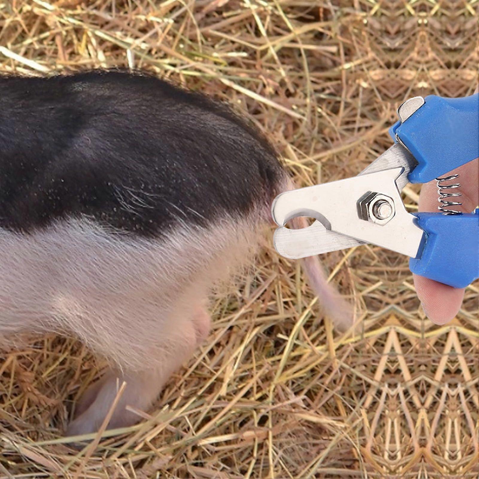 High Quality Pig Sharp Cut Tail Clamp Cutter Tail Cutting Pliers Livestock