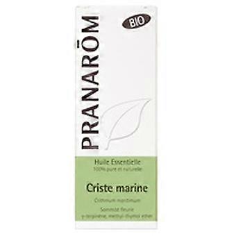 Marine Fennel essential oil 5 ml of essential oil