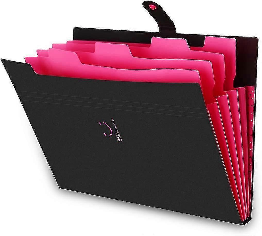 A4 Expandable Portable File Folder with Compartments, Document Organizer compatible with Office Use