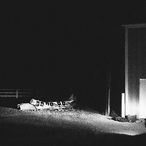 Cloud Nothings - Last Building Burning  [VINYL]