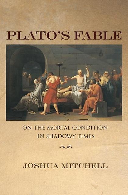 Platos Fable by Joshua Mitchell Paperback Book