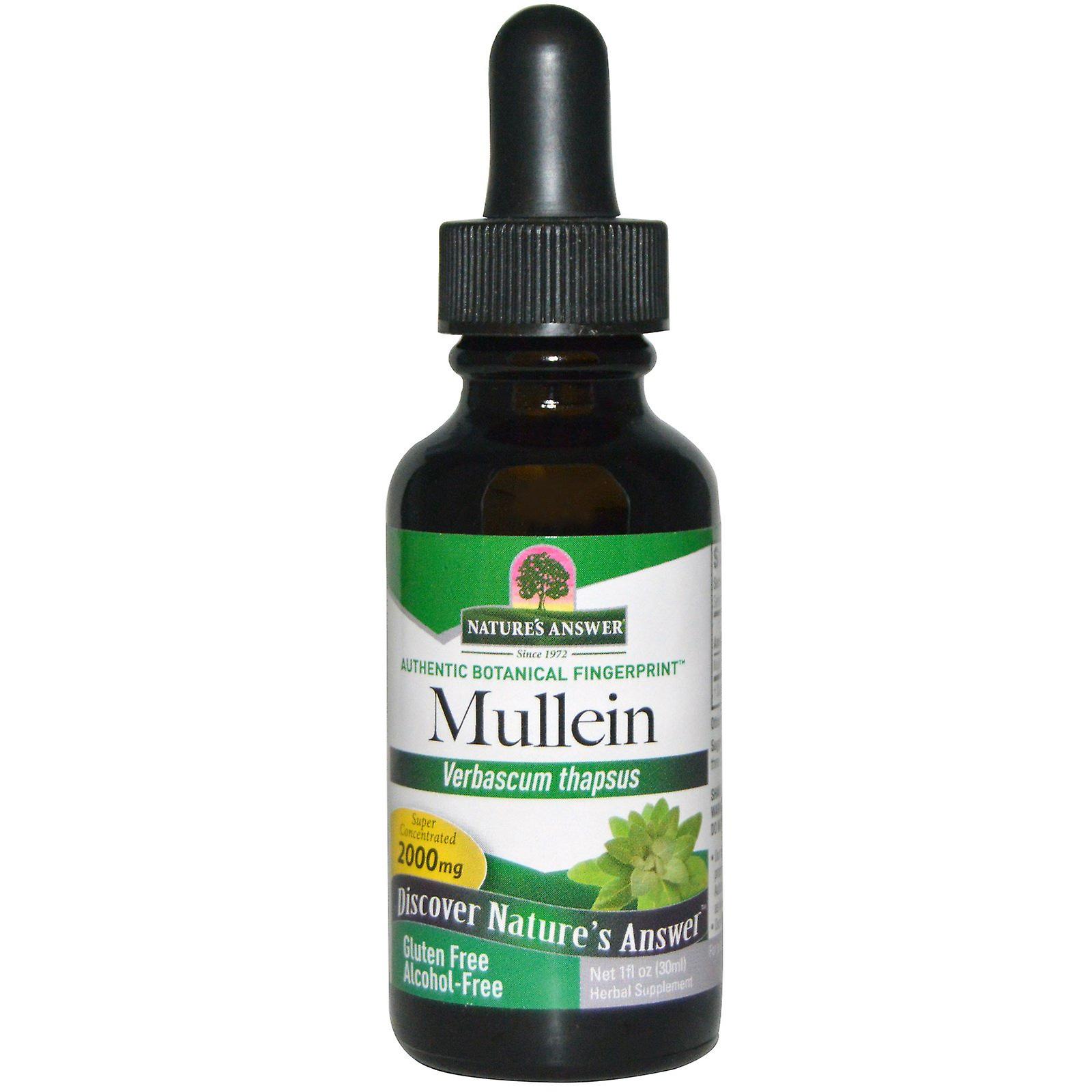 Mullein, Sans alcool, 2000 mg (30 ml) - Nature -apos;s Réponse