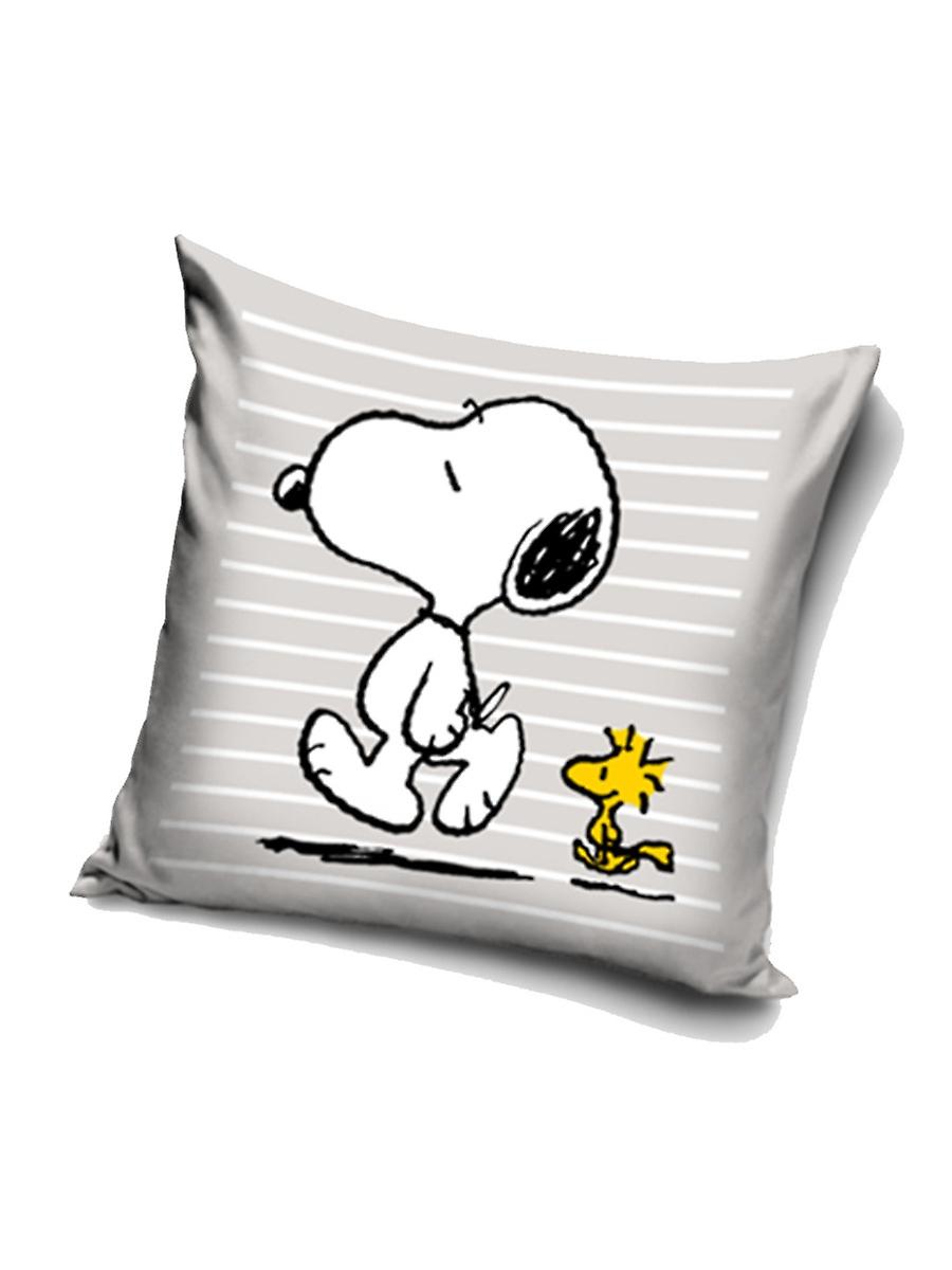 Cojín Peanuts Snoopy & Woodstock