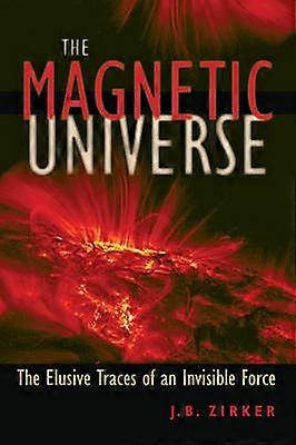 Das magnetische Universum