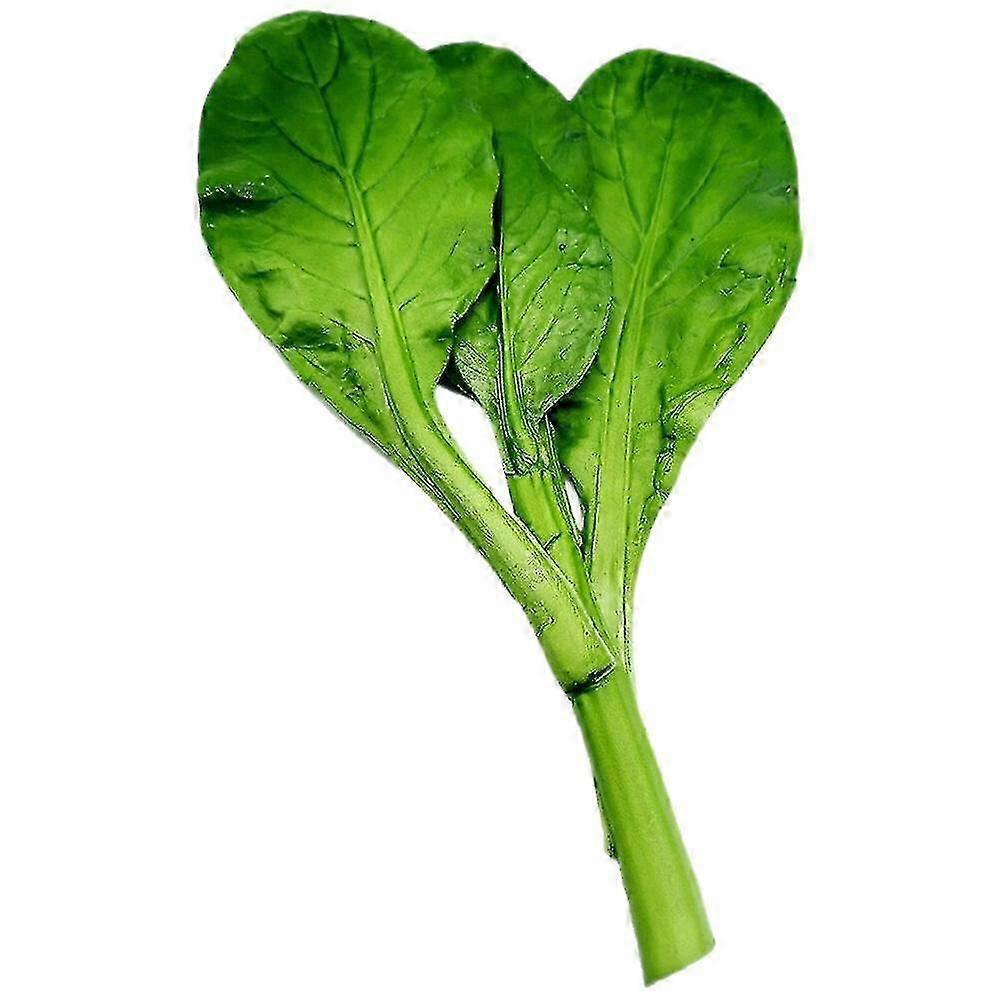 Fake Vegetable Decoration Artificial Vegetable Simulated Vegetable Model Showcase Display Prop