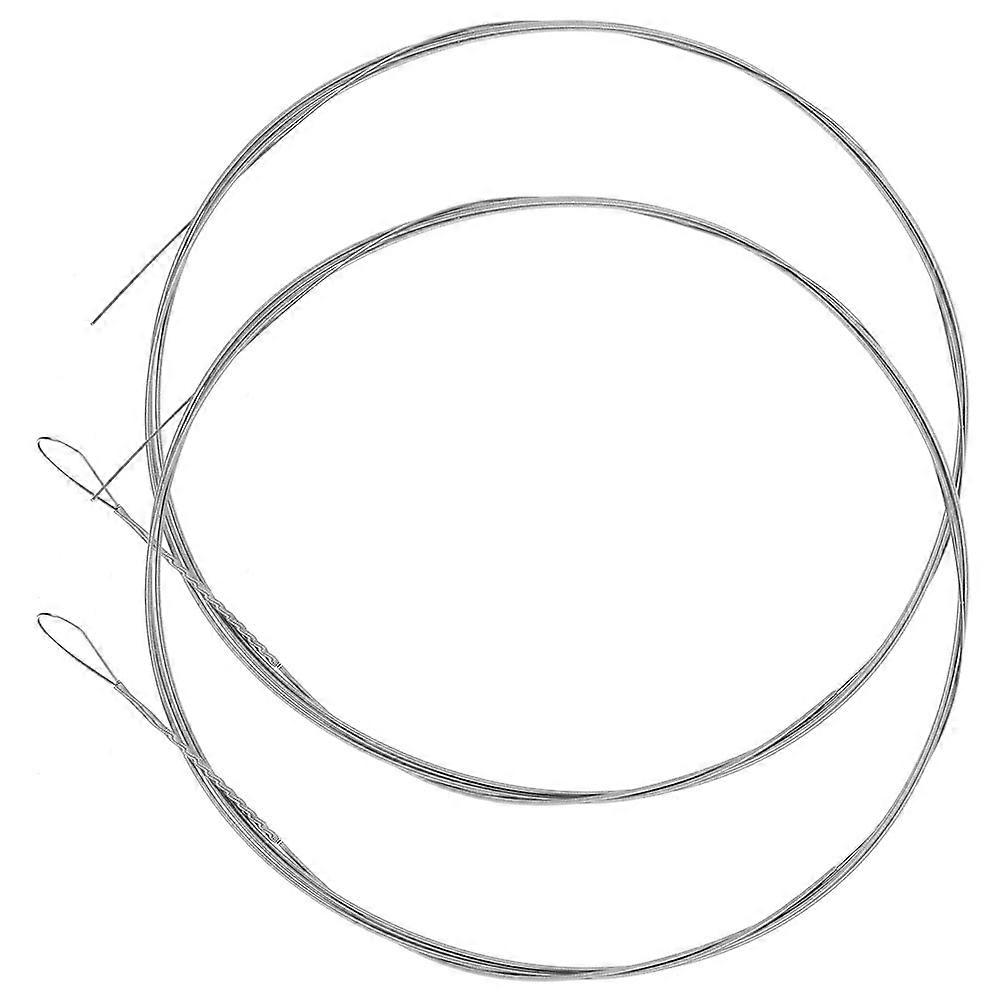 Dulcimer Accessory Metal Strings for Families Silver 160.00X0.53X0.10CM Musical Instrument Strings 2Pcs