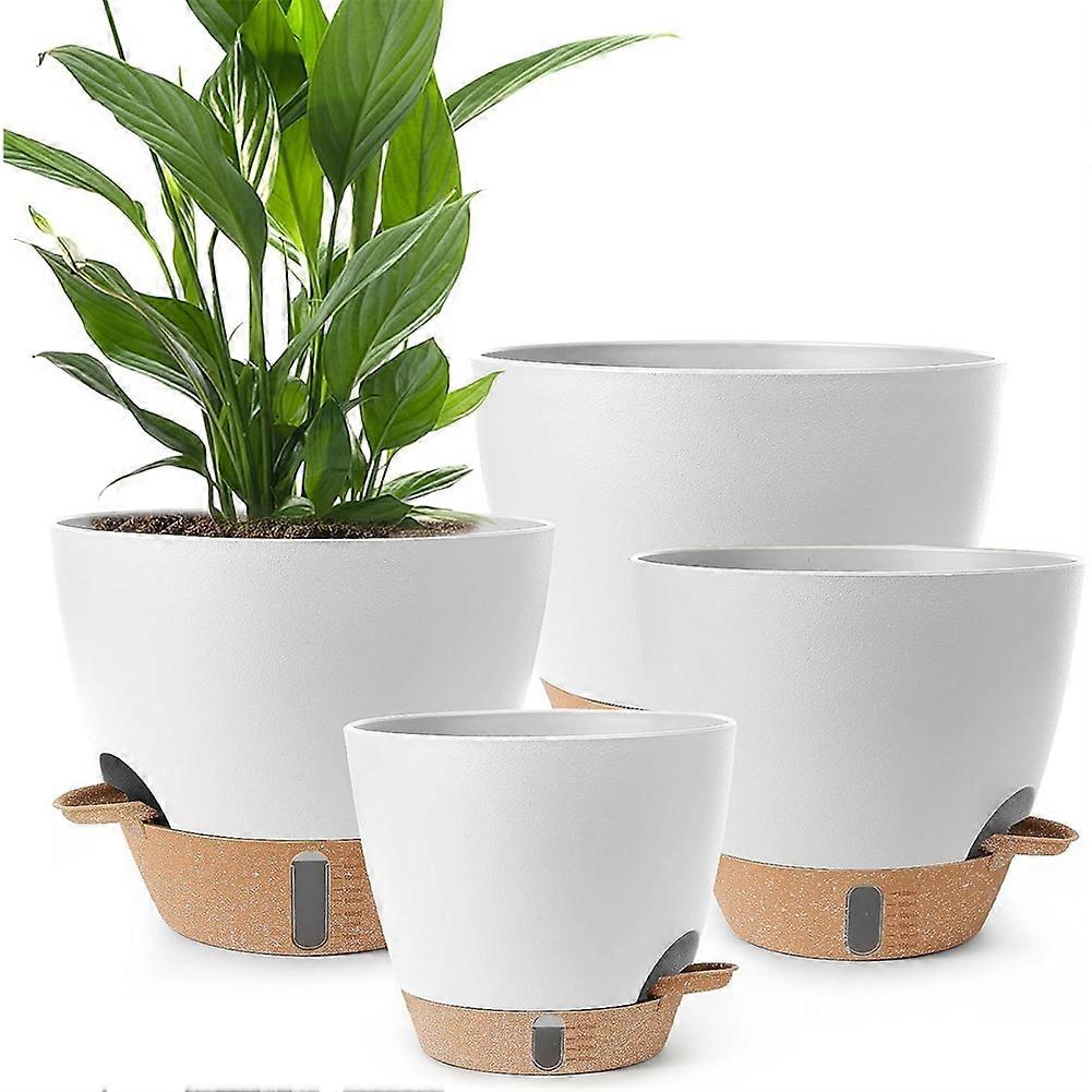 Plant Pots