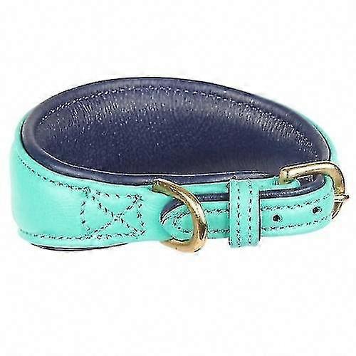 Padded Leather Collar for Greyhound Dogs