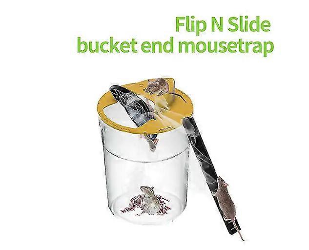 Adjustable Magnifier Educational Bug Jar Entomology Study