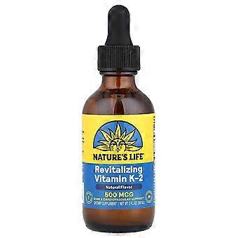 Nature's Life, K2 (MK-7) druppels, bosbes, 500 mcg, 60 ml