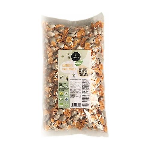 Bio honey and propolis candies 1kg