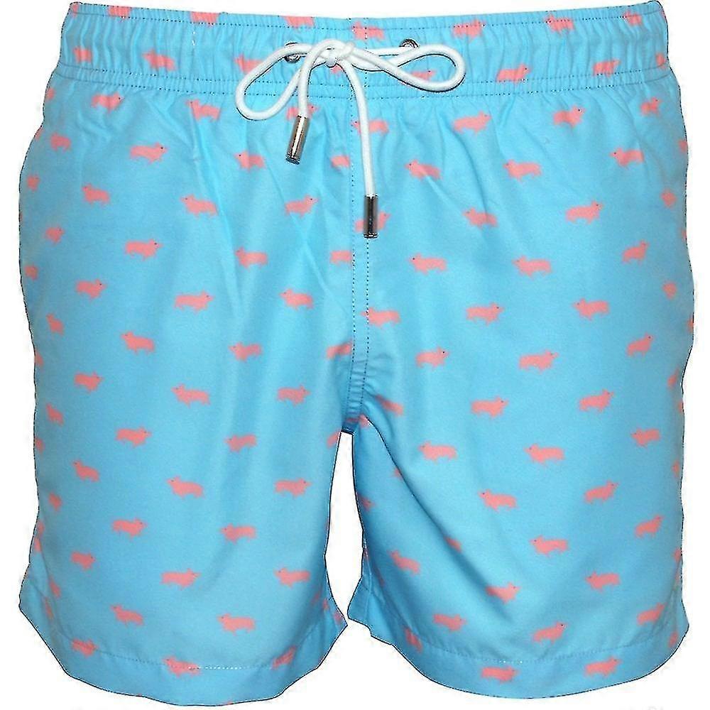 Apres plávanie ošípané plávať šortky, oceán modrá