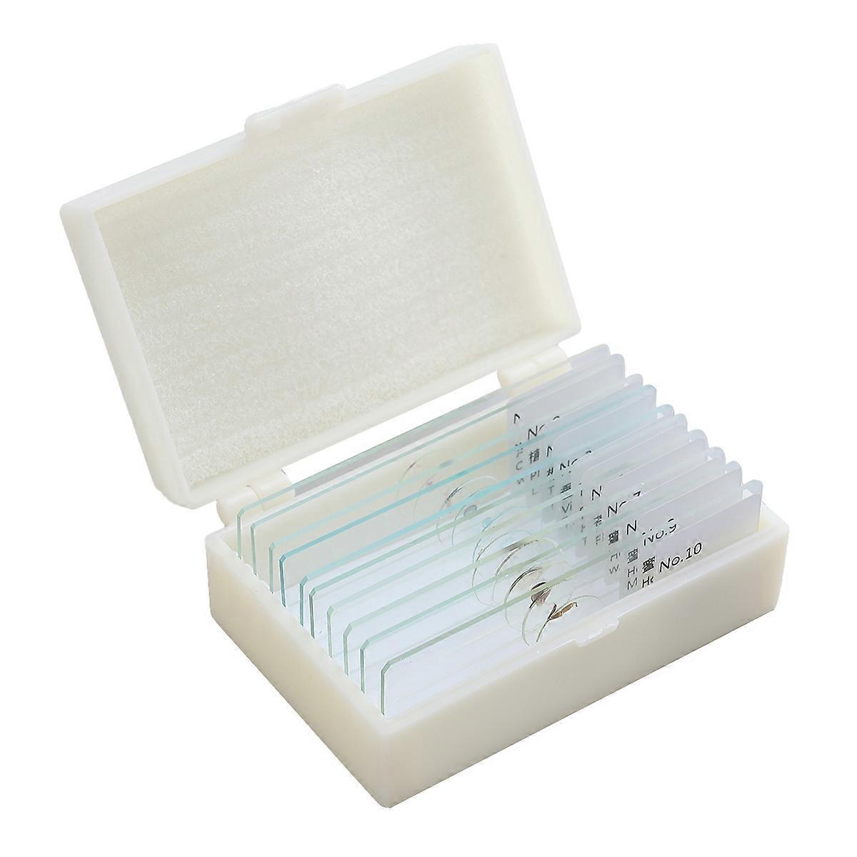 10 Pcs Biology Specimen Slides Set – Insects, Plants & Animals – Prepared Glass Microscope Slides for Educational Science Exploration