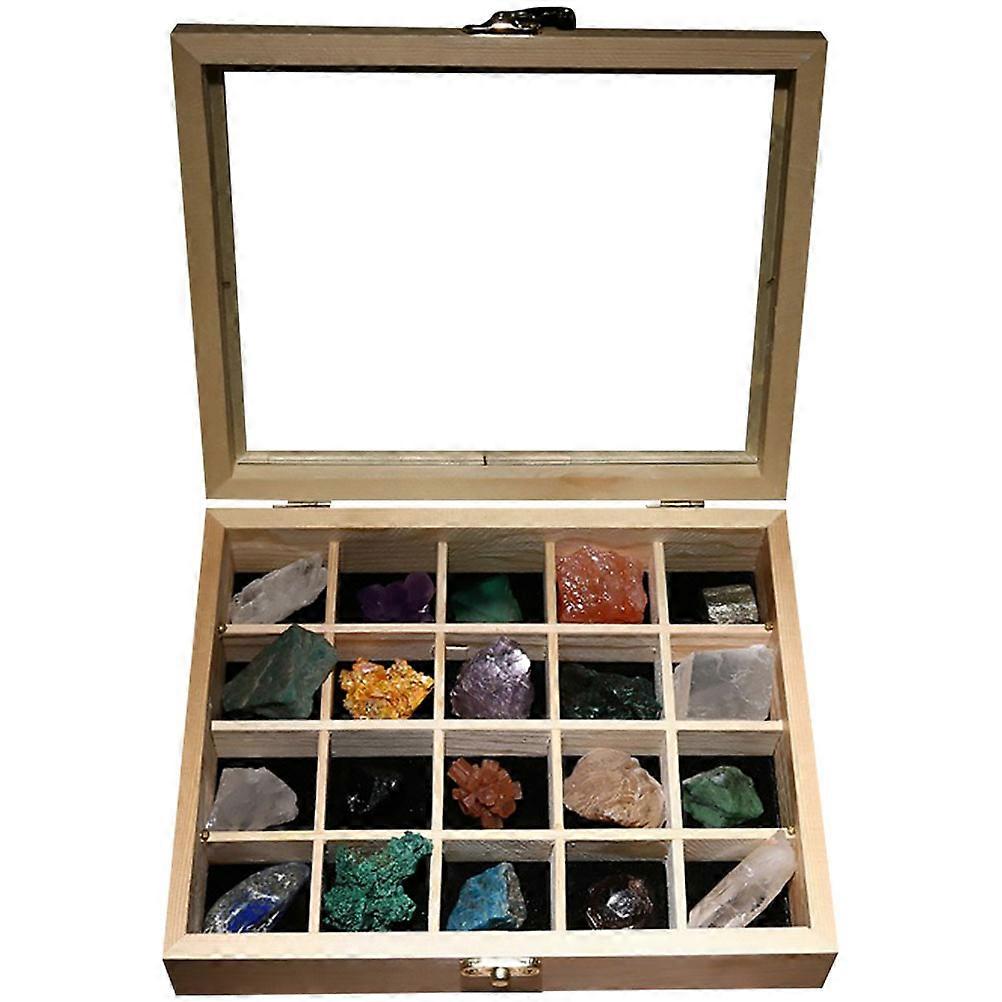 Ore Stones 20Pcs Natural Stone Collection Educational Tool Assorted Color For Teachers