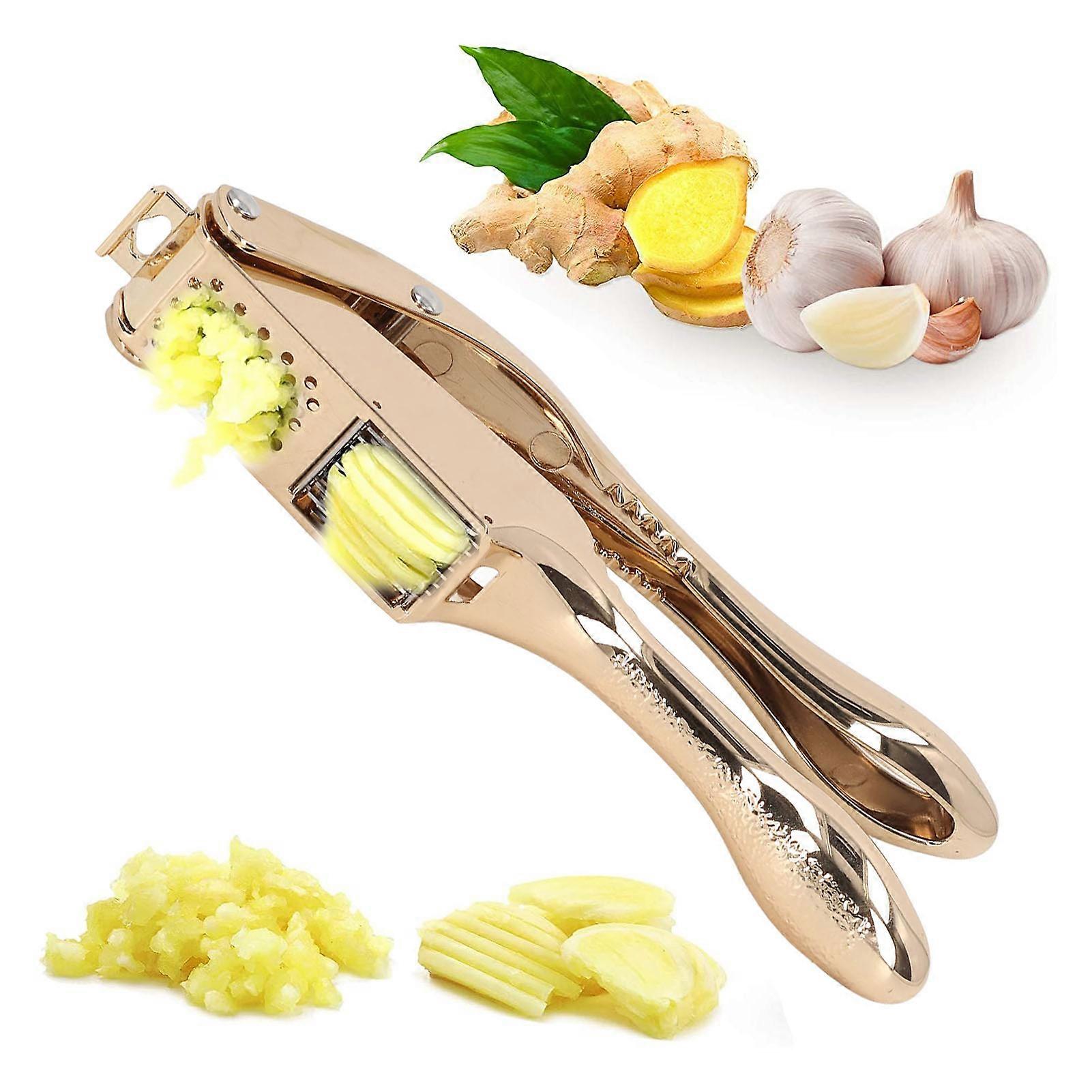 Garlic Press Gold Color Aluminium Alloy Dolphin Style Teeth Design Multipurpose Garlic Crusher for Ginger Nuts 