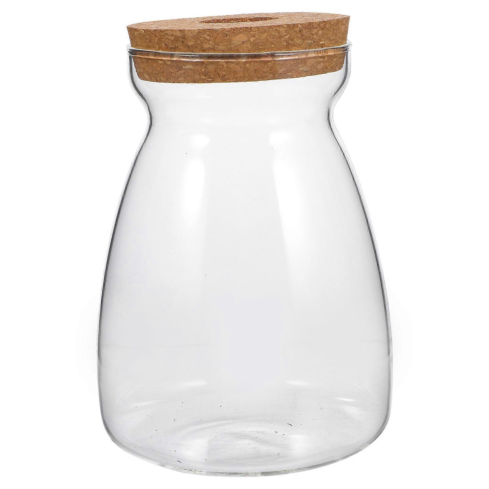 Hydroponic Plants Container Glass Terrarium Jar 3Pcs Transparent Set