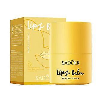 Gel à lèvres à la propolis, beurre à lèvres au miel, baume à lèvres hydratant de nuit, baume à lèvres hydratant longue durée 12 heures pour lèvres sèches et gercées, réduit les rides des lèvres, Chr