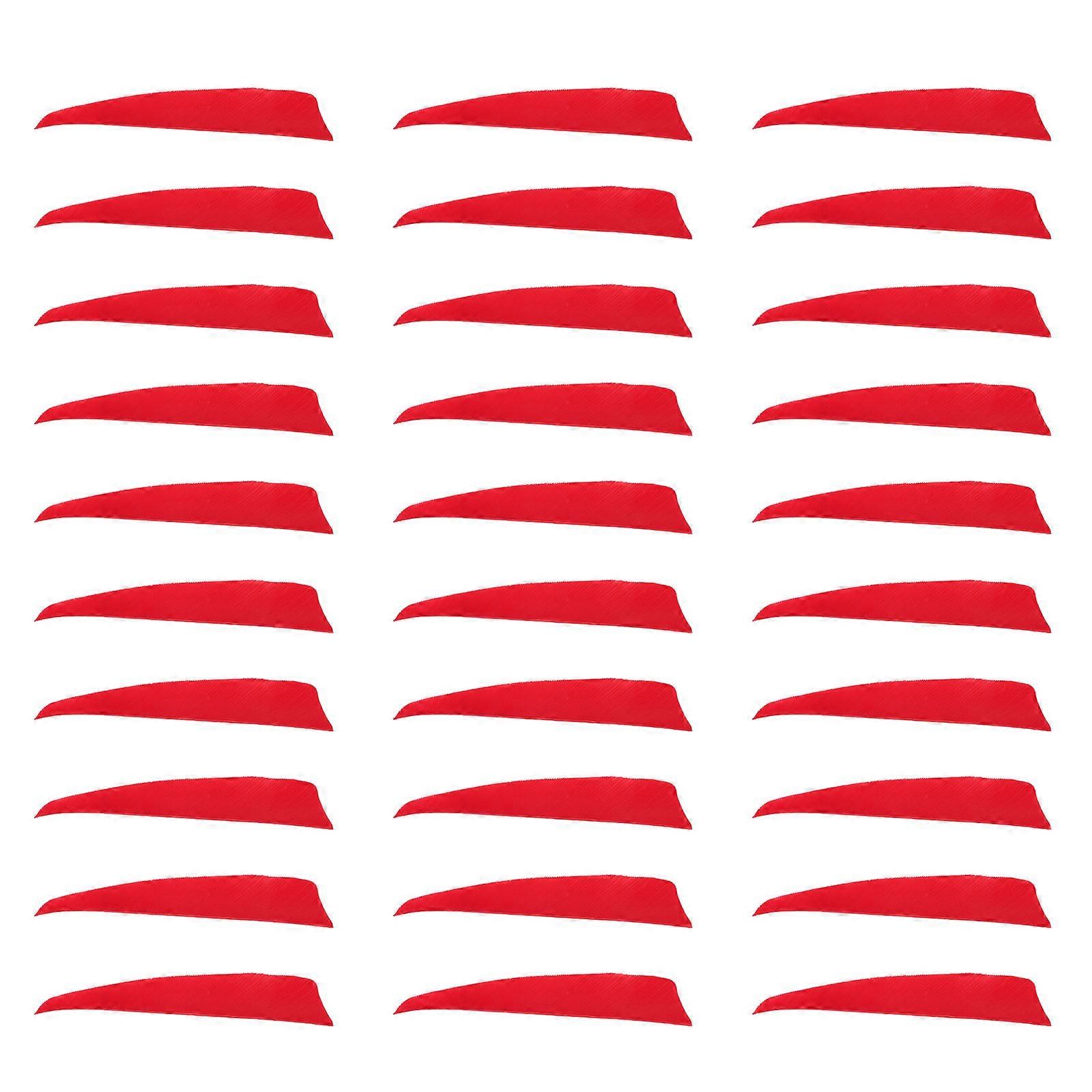 Turkey Tail for Outdoor Usage 150Pcs Accessory