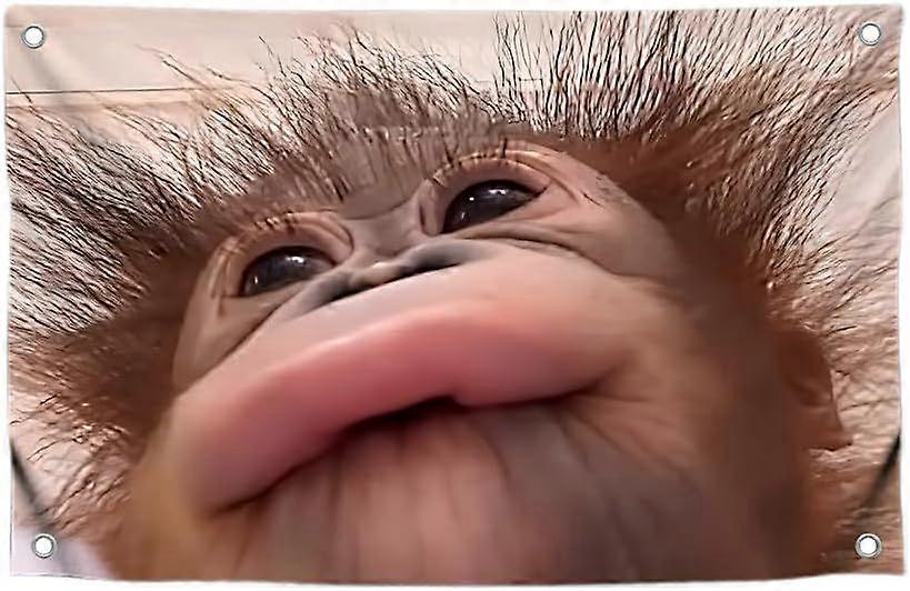 Funny Flag Picture Cute Monkey IW0086