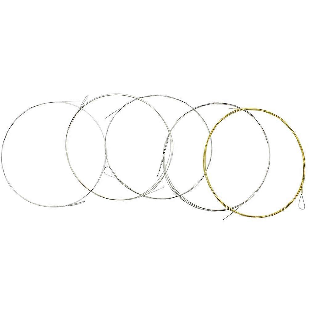Professional Banjo String 5-String Banjo Strings for Sturdy Performance 5Pcs
