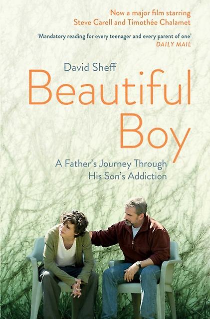 Beautiful Boy by David Sheff Paperback