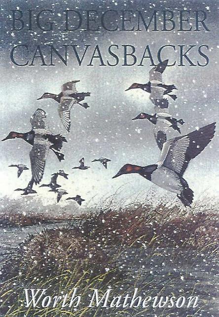 Big December Canvasbacks Revised by Worth Mathewson Paperback