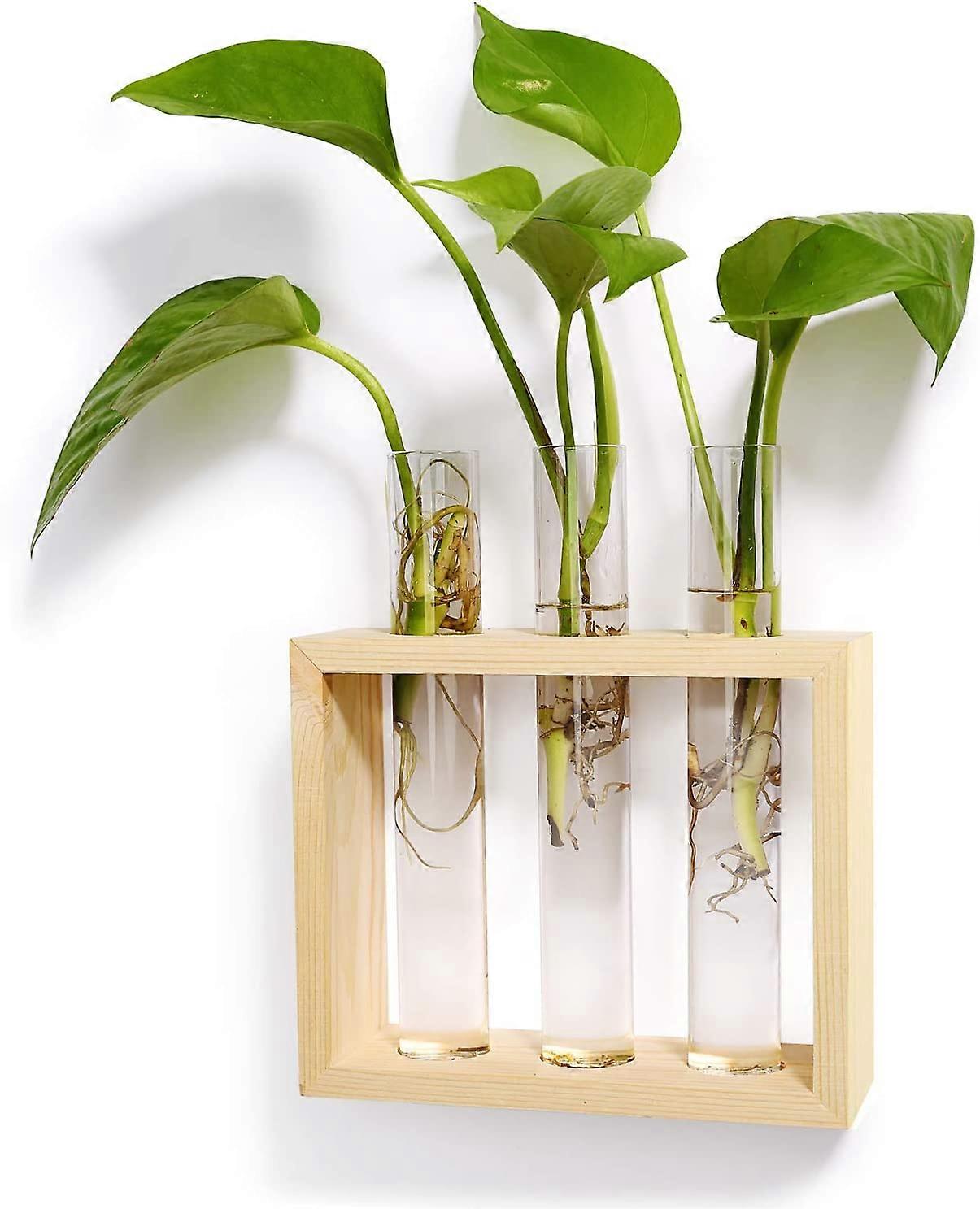 Επιτοίχια γυάλινη γλάστρα Terrarium Σύγχρονο βάζο μπουμπουκιών λουλουδιών στην ξύλινη βάση Tabletop
