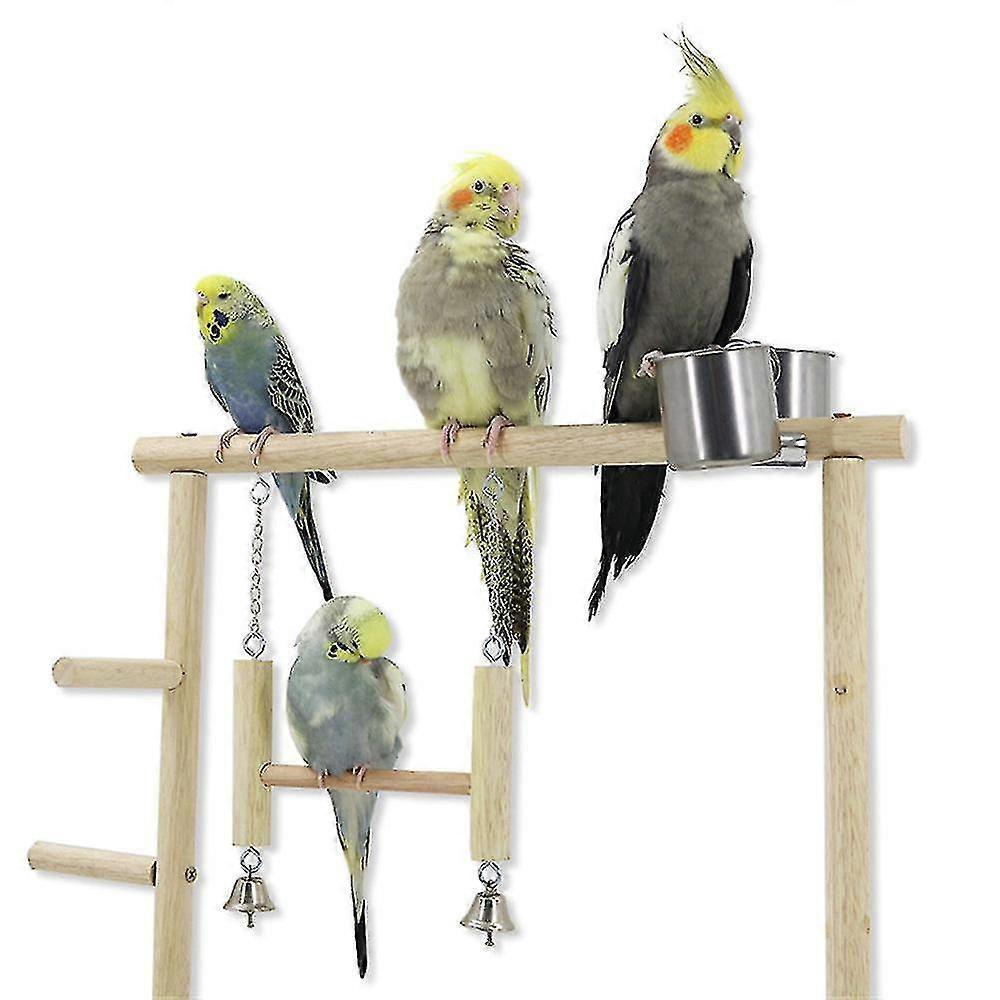 Tall Parrot, Bird Game Rack, Playground With Swing Ladder | Fruugo UK