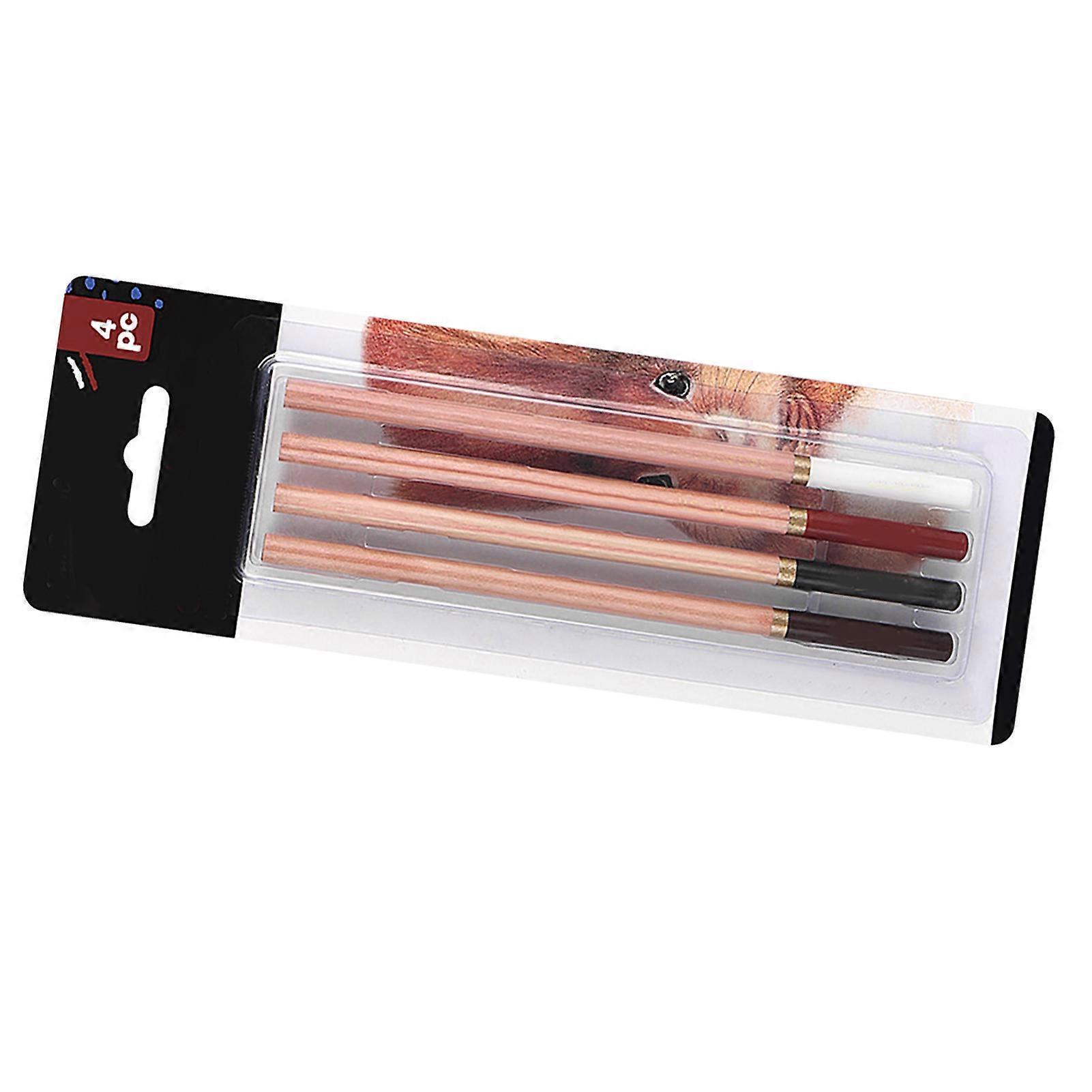 4 Pieces Color Sketching Pencils Beginner Charcoal Pencil Set for Drawing Shading Coloring Layering Mixing 