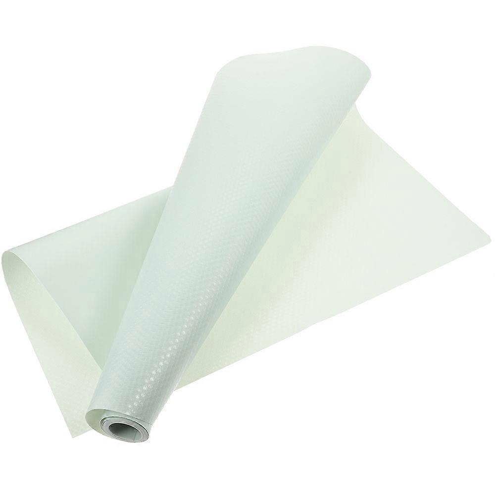 EVA Reptile Carpet for Terrarium Use Protects Glass Container and Collects Waste Light Green