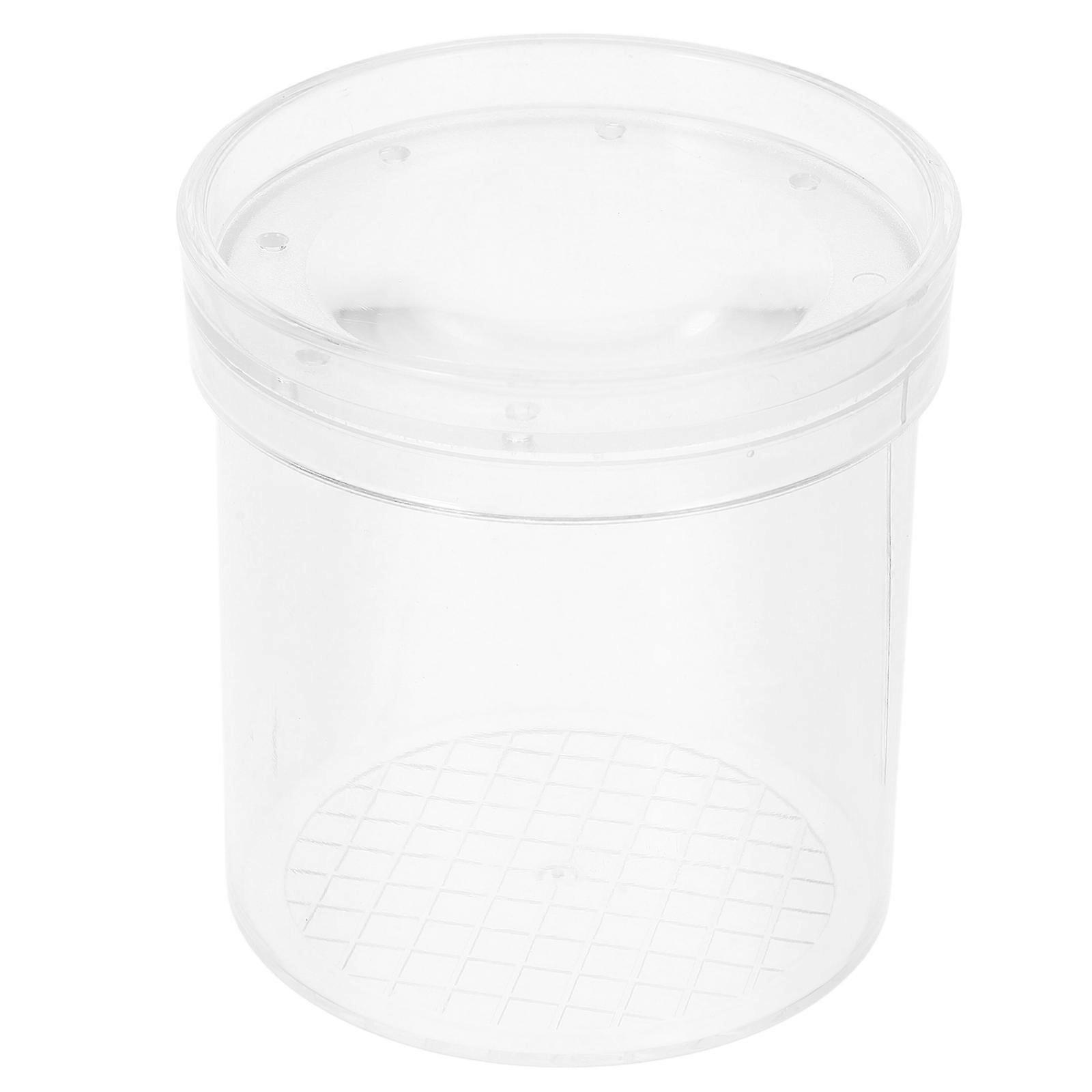 Magnifying Insect Box Kids Science Exploration Kit Indoor Outdoor Viewing Transparent Plastic 3x Magnification 1Pack