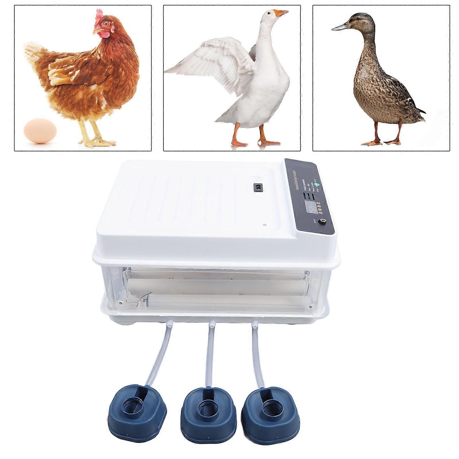Egg Incubator 24-Egg Capacity Automatic Turner White US Plug 110V