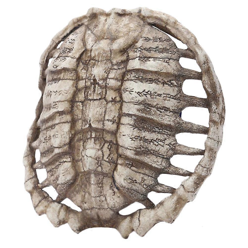 Resin Turtle Shell Wall Hanging Ornament for Decoration 2Pcs