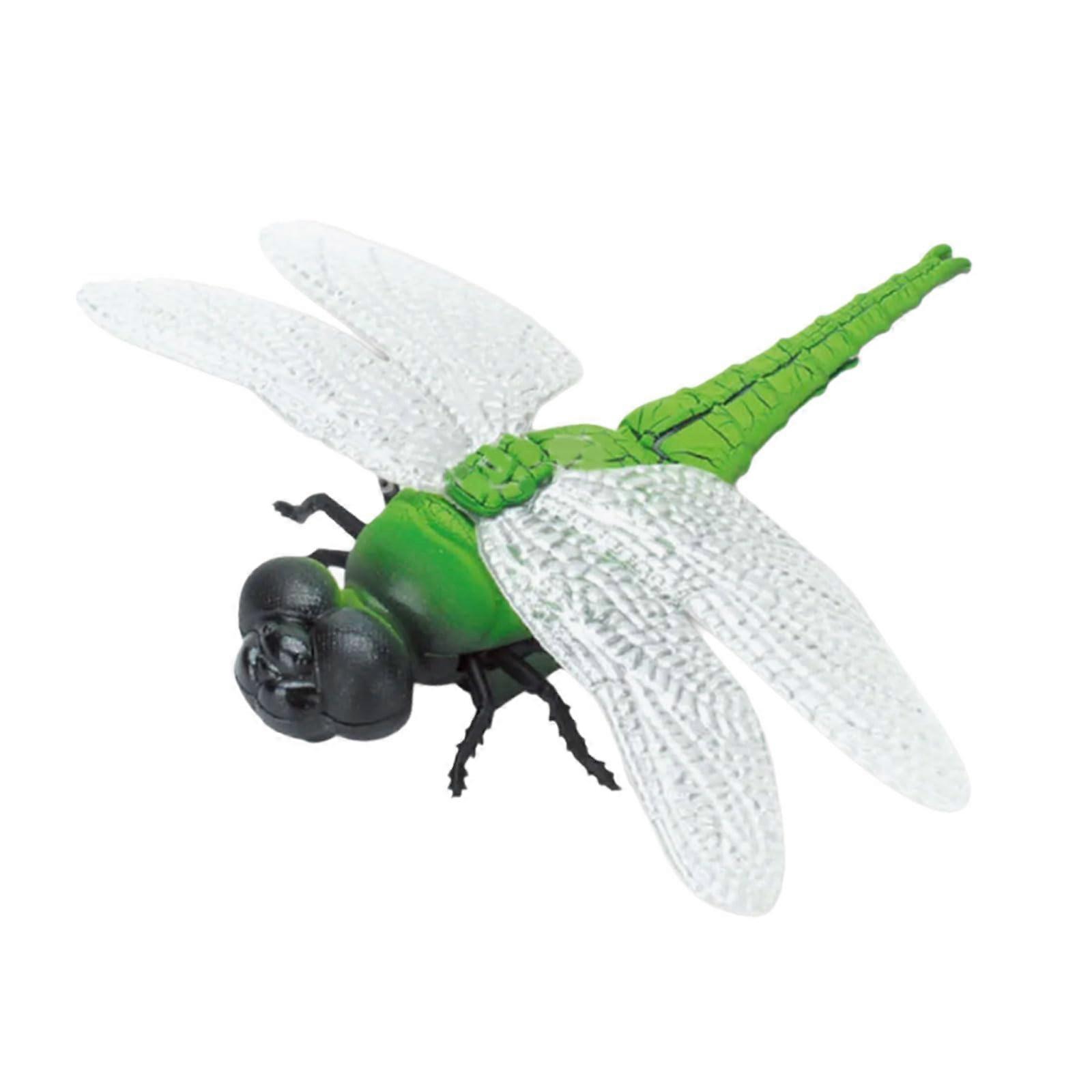 Interactive Cat Toy Automatic Motion Teaser Chew Resistant Indoor Play for Active Cats