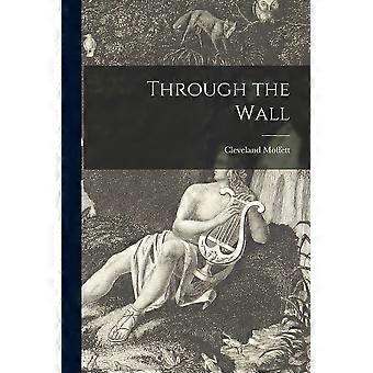 Through the wall microform