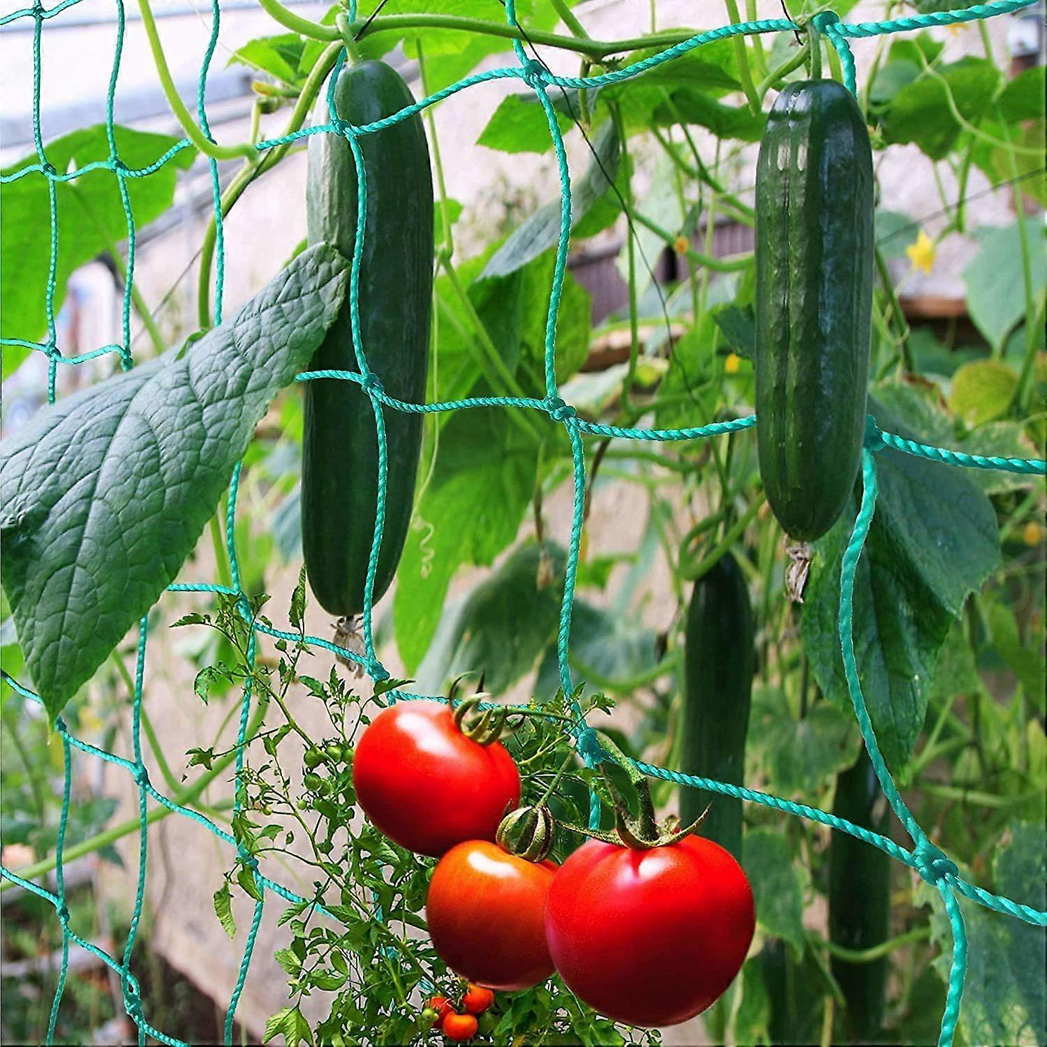 Net for Climbing Garden Plants for Cucumbers, Peas and Tomatoes, 2.7X1.8m, Mesh 10cm