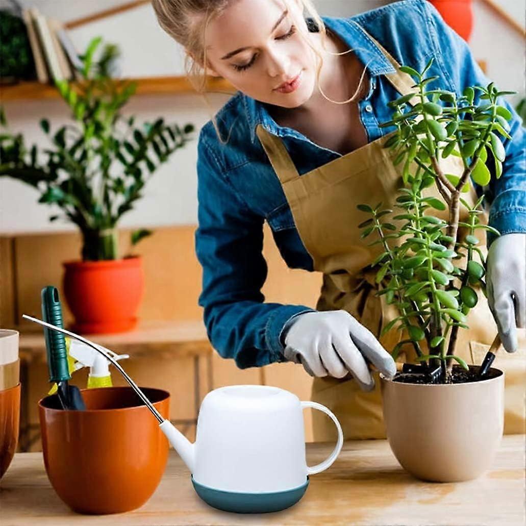 DR.UANG Small Watering Can For Indoor Plants - 1L Capacity, Long Stainless  Steel Spout, Emerald Green