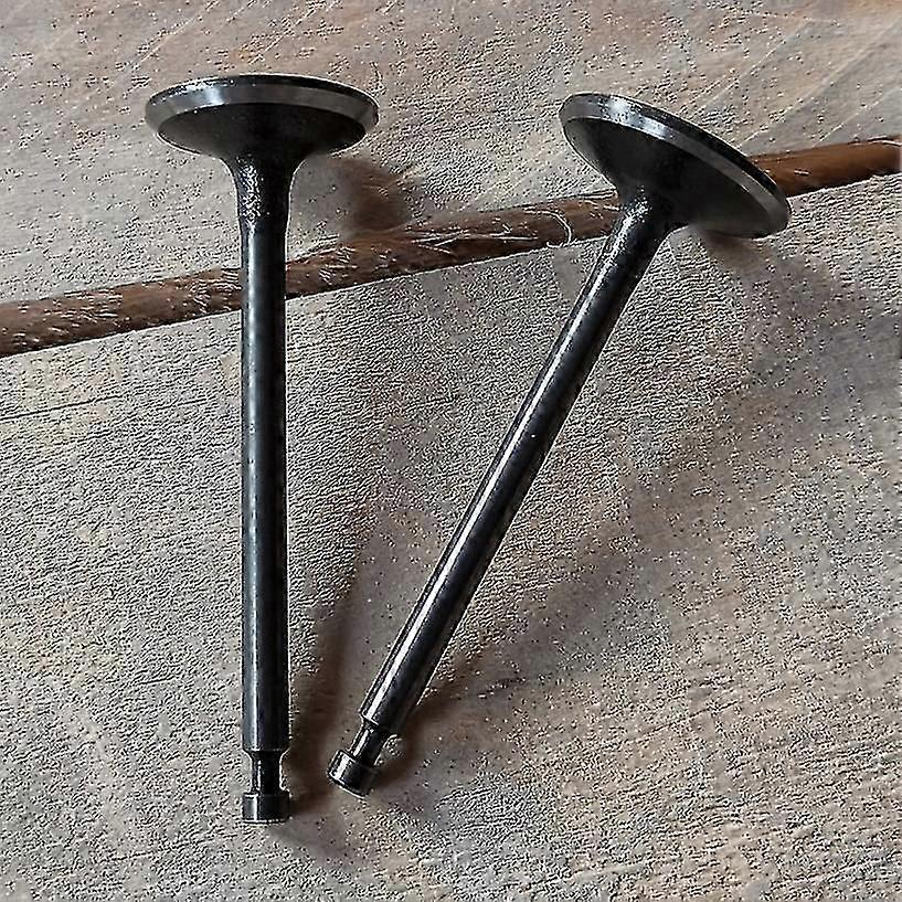 Gx100 Valve In Ex Gx100 Intake And Exhaust Valves
