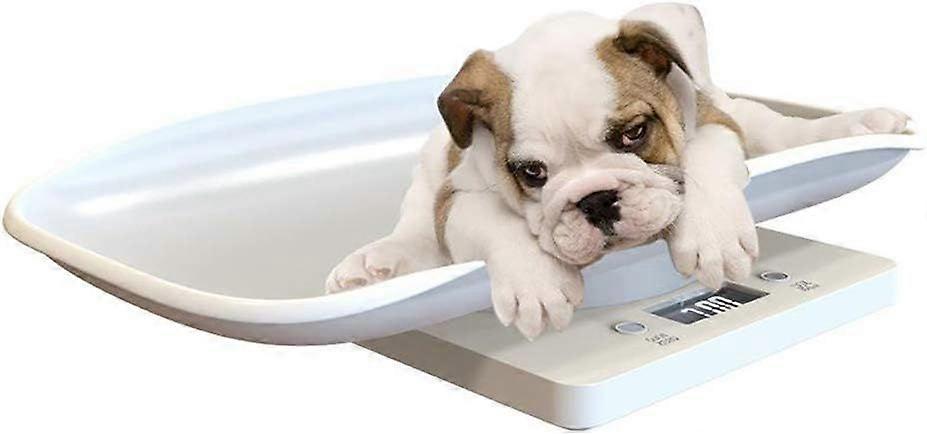 Multi-Function Digital Pet Scale Large LCD Display Electronic Scales Weight 10kg Capacity Pet