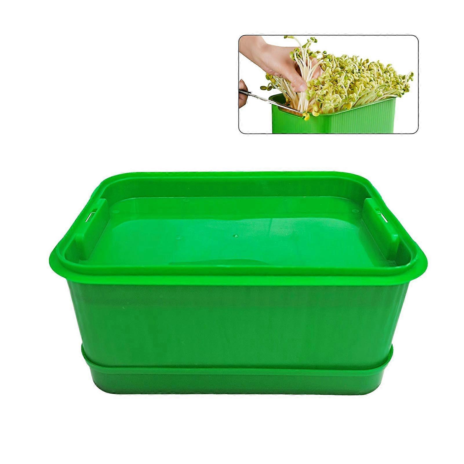 Bean Sprouts Plants Seedling Pots with Durable Material Practical Garden
