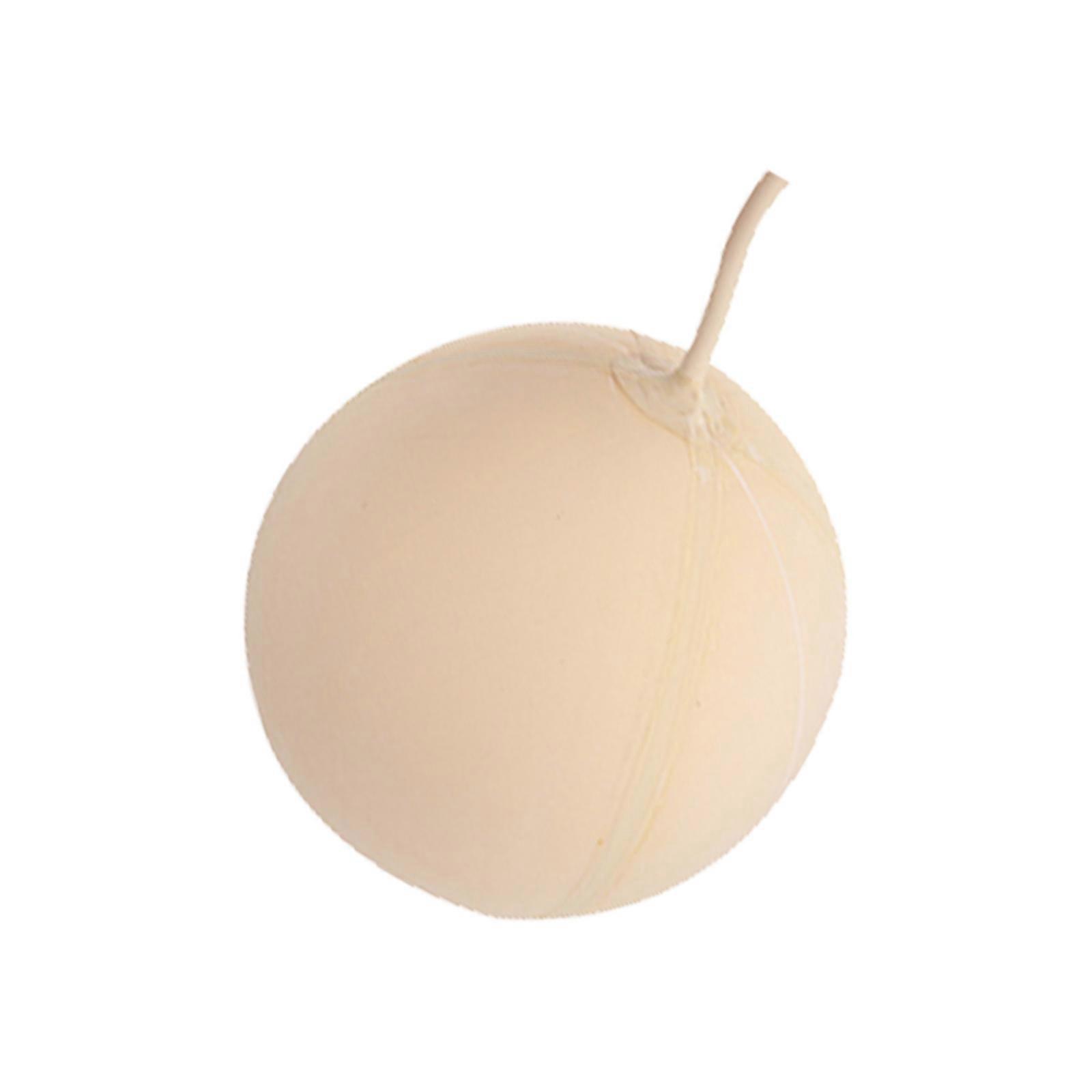 1pc Laboratorium Ballon Blaas Labs Gas Sampling Tool Gas Sampling Ball Blaas